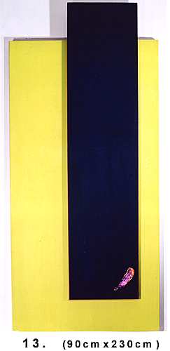 Feathe1.jpg (7708 Byte)